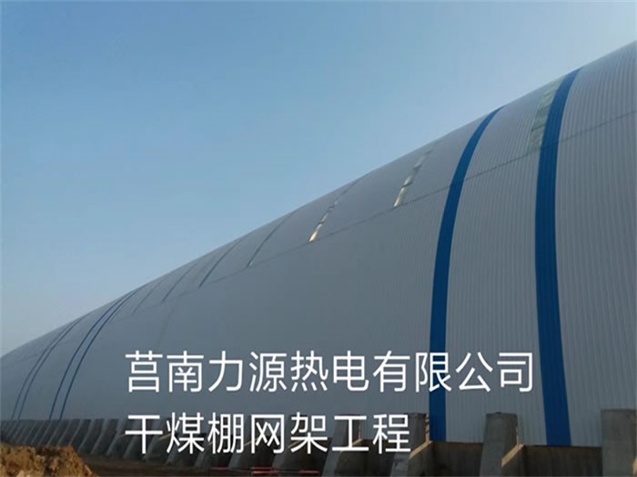 蕪湖力源熱電有限公司干煤棚網(wǎng)架工程